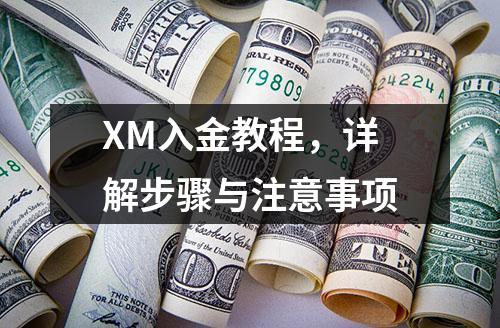 XM入金教程，详解步骤与注意事项