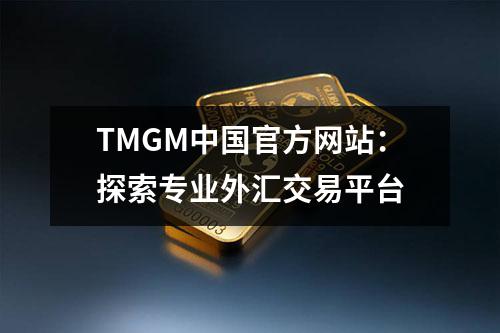 TMGM中国官方网站：探索专业外汇交易平台