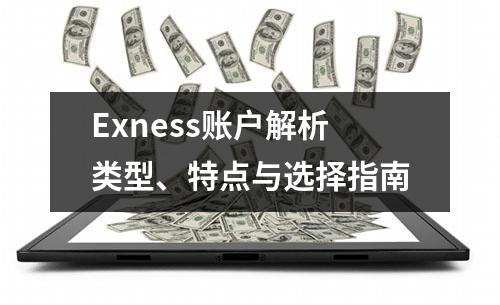 Exness账户解析类型、特点与选择指南